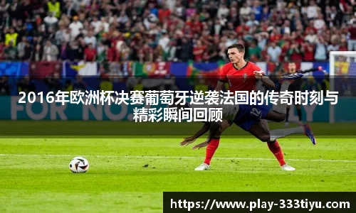 333体育官网